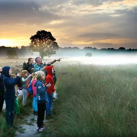 Heerlijke Op De Hoge Veluwe Hoenderloo
